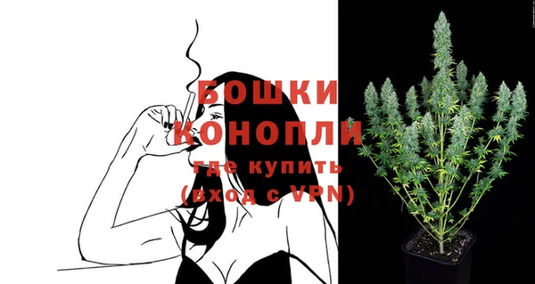 кокс Гусев