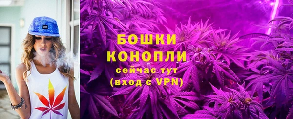 кокс Гусев