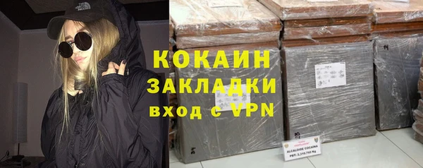 кокс Гусев