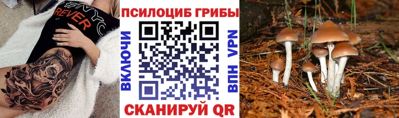 Галлюциногенные грибы ЛСД  Тайга 